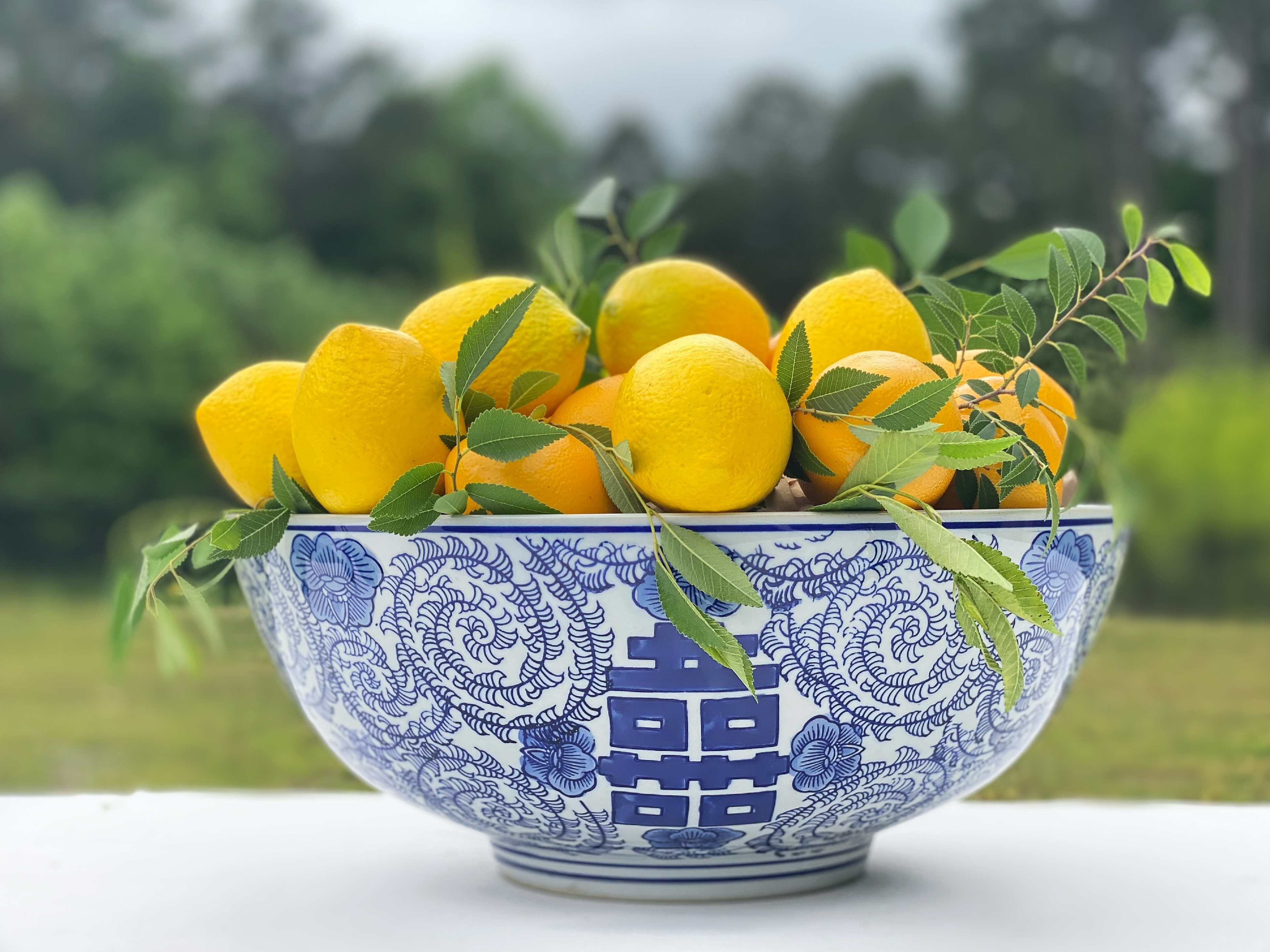 Winter Citrus Secrets from Two Plant-Obsessed Women